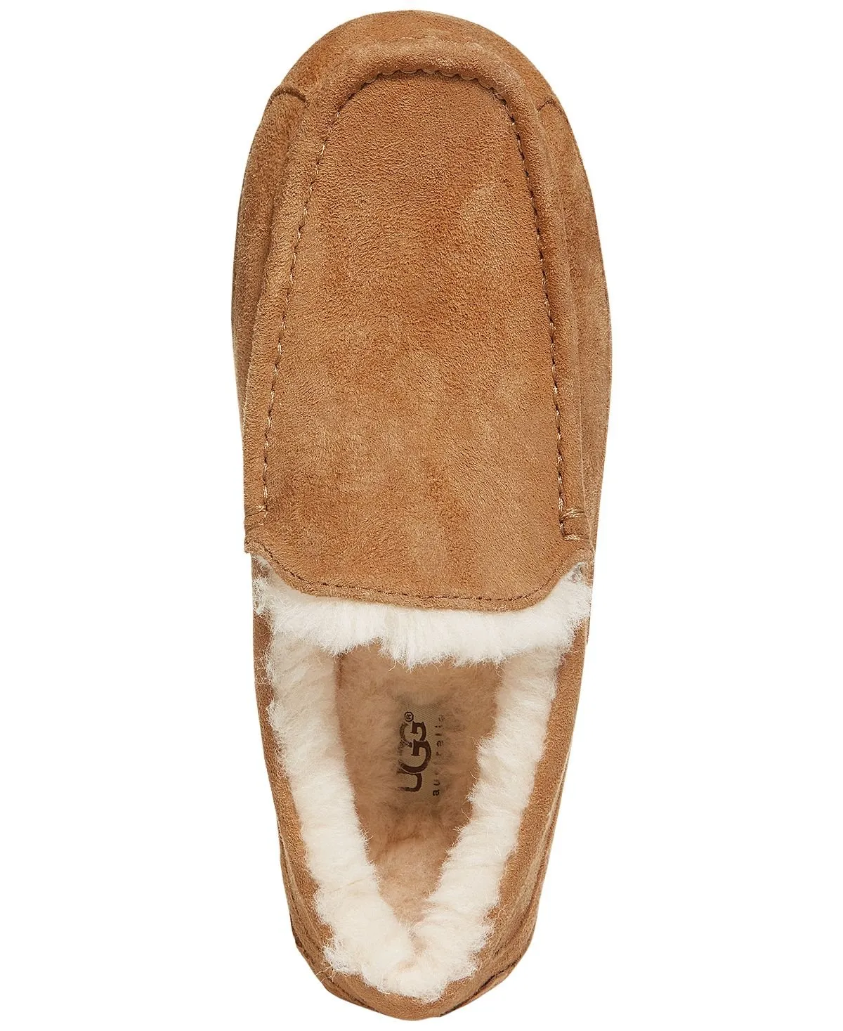 Men's moccasins ascot UGG, brown