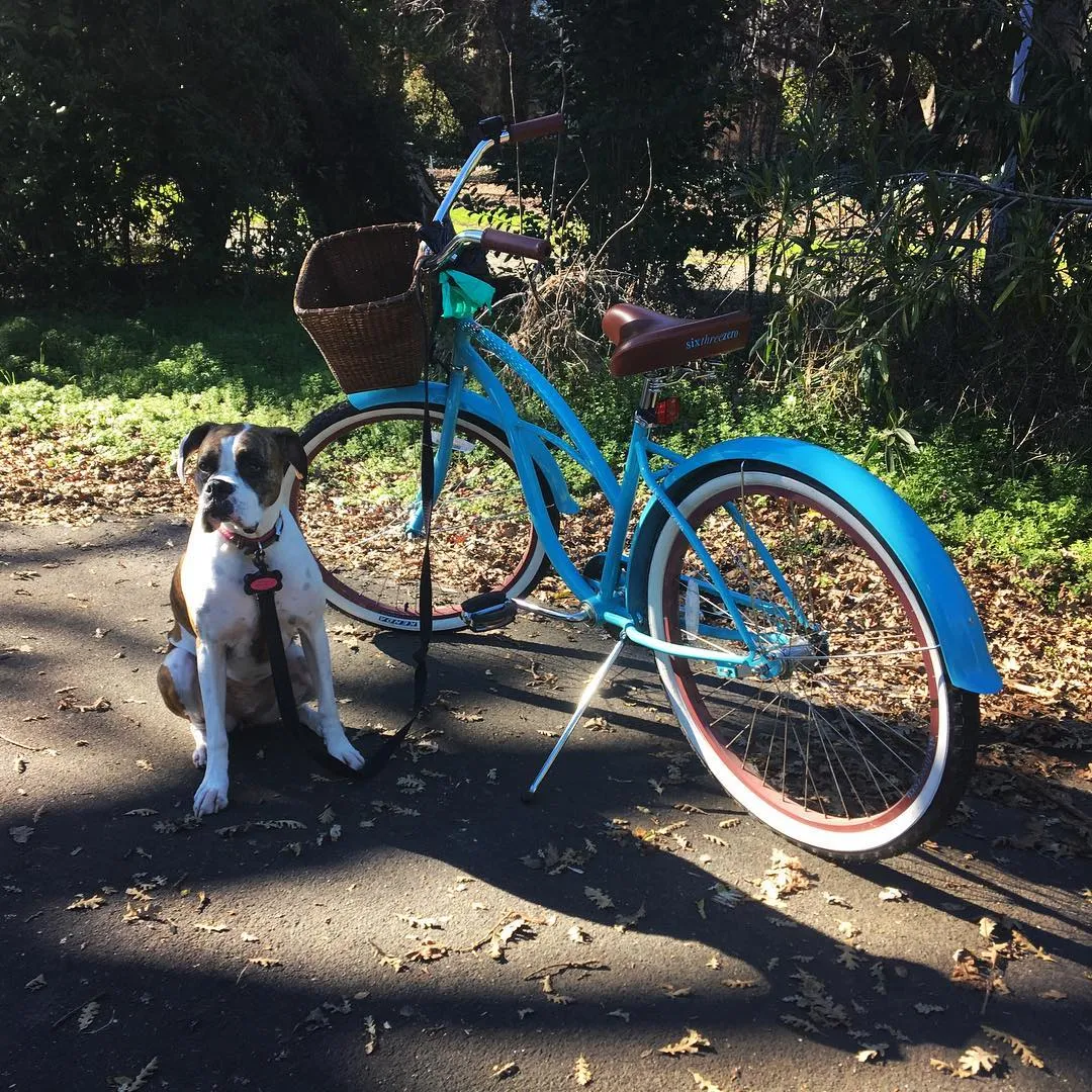 sixthreezero Breathe Women's 26" 3 Speed Beach Cruiser Bicycle