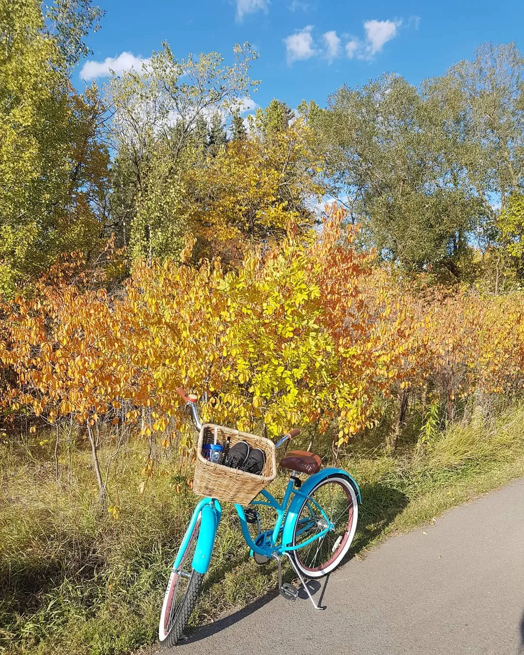 sixthreezero Teal Women's 26" 7 Speed Beach Cruiser Bicycle